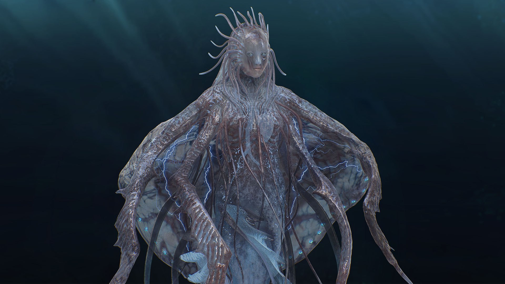 Jellyfish Empress 3D https://p.turbosquid.com/ts-thumb/h1/gJoQYj/mW/3/jpg/1742675964/1920x1080/fit_q87/851f5c917bd84a5dc0f05d699455199a8411a4ba/3.jpg