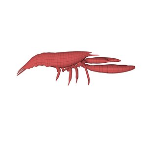 3d base mesh lobster model