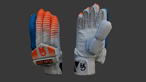 Cricket Batting Gloves