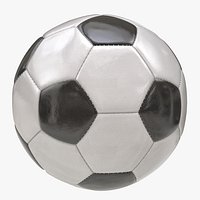 Shiny Soccer Ball