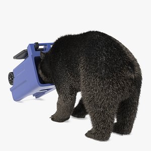 Curious Bear with Head in Trash Can Fur 3D model