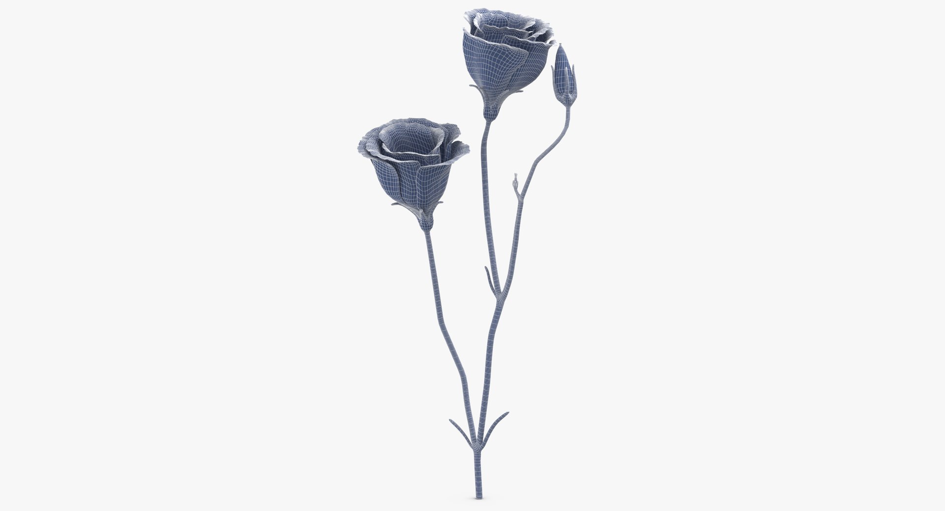 3D model eustoma pink - https://p.turbosquid.com/ts-thumb/h2/5d72jF/UZM5pp6V/eustoma_pink_wireframe_0001/jpg/1550066107/1920x1080/fit_q87/fdf9a53941daa96cf9b751fcfd5ac8171741e146/eustoma_pink_wireframe_0001.jpg