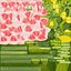 Eustoma - Pink