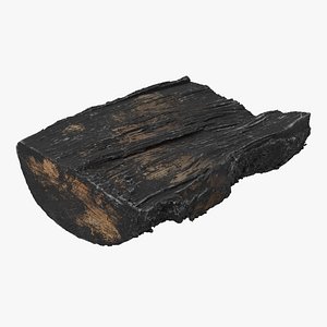 Burnt Firewood Log 04 3D