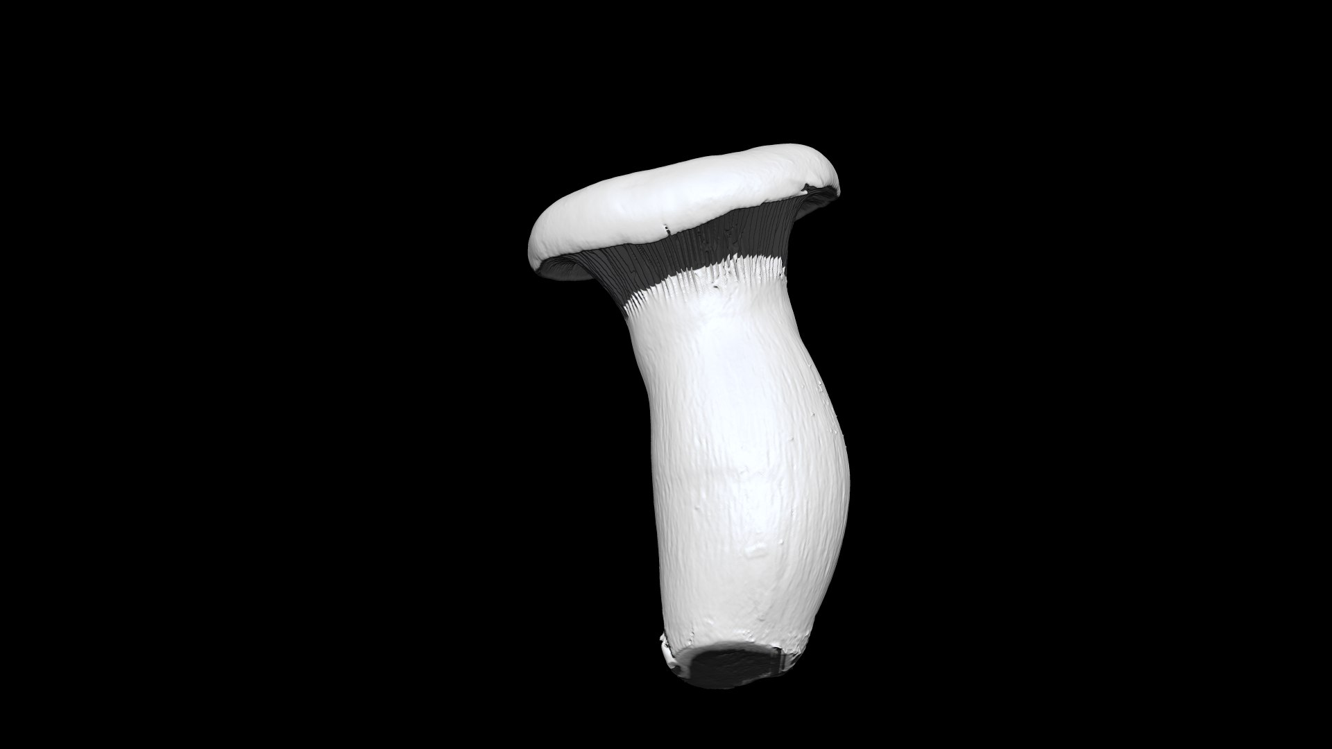 eringi mushroom 3D CT scan model decimate 80 percent 3D model https://p.turbosquid.com/ts-thumb/h2/QnExVq/Cj/4/png/1656392185/1920x1080/fit_q87/ea6011fcb229ff915e01938226cdc927ec5baa84/4.jpg