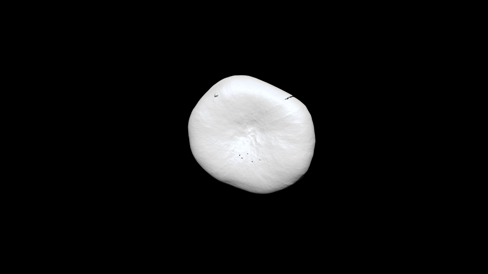 eringi mushroom 3D CT scan model decimate 80 percent 3D model https://p.turbosquid.com/ts-thumb/h2/QnExVq/G0/5/png/1656392178/1920x1080/fit_q87/07664cb635164de8b6cb4d835deade50b48ab0c1/5.jpg