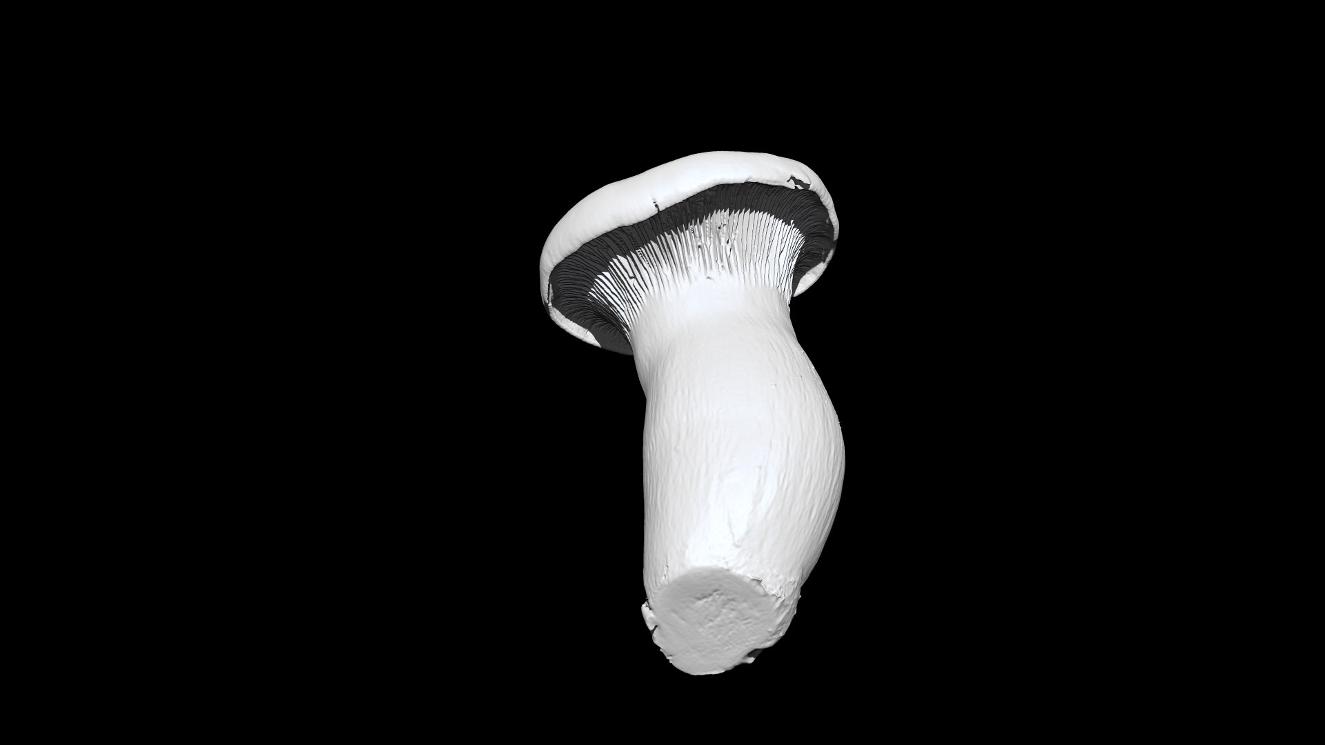 eringi mushroom 3D CT scan model decimate 80 percent 3D model https://p.turbosquid.com/ts-thumb/h2/QnExVq/nJ/3/png/1656392174/1920x1080/fit_q87/69963f004909b8388d2fec23e20c34506d98fe54/3.jpg