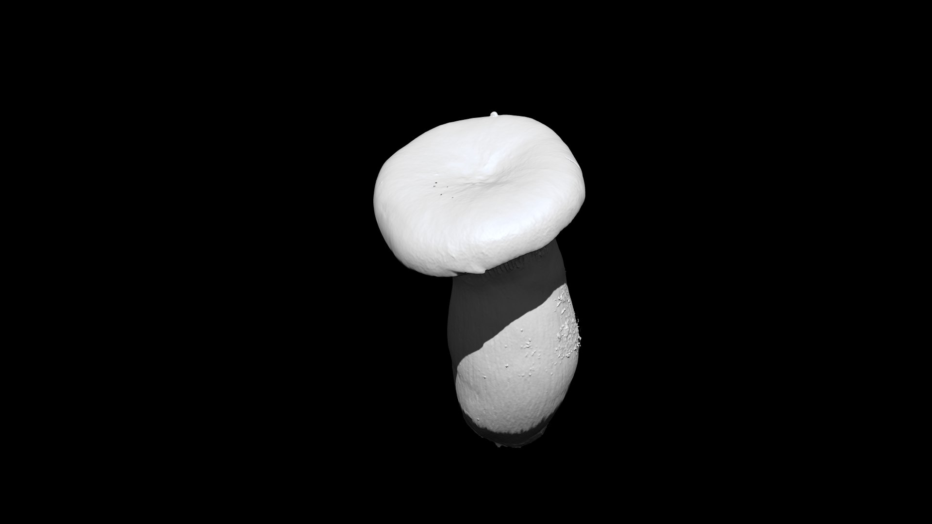 eringi mushroom 3D CT scan model decimate 80 percent 3D model https://p.turbosquid.com/ts-thumb/h2/QnExVq/ue/2/png/1656392172/1920x1080/fit_q87/be14457da67e1656c4e242ed7477903f26fa74cc/2.jpg