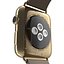 Apple Watch金42毫米软棕色皮革2 3D模型