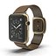 Apple Watch金42毫米软棕色皮革2 3D模型