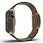 Apple Watch金42毫米软棕色皮革2 3D模型