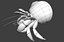 3d model hermit crab