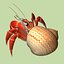 3d model hermit crab