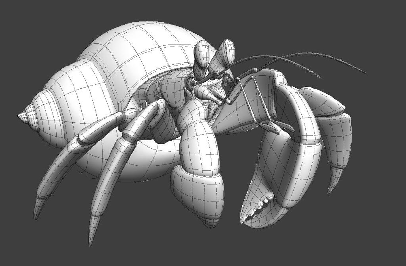 3d Model Hermit Crab