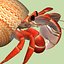 3d model hermit crab