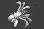 3d model hermit crab
