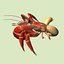 3d model hermit crab
