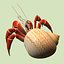 3d model hermit crab