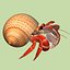 3d model hermit crab