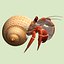 3d model hermit crab