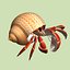 3d model hermit crab