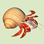 3d model hermit crab