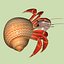 3d model hermit crab