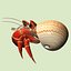 3d model hermit crab
