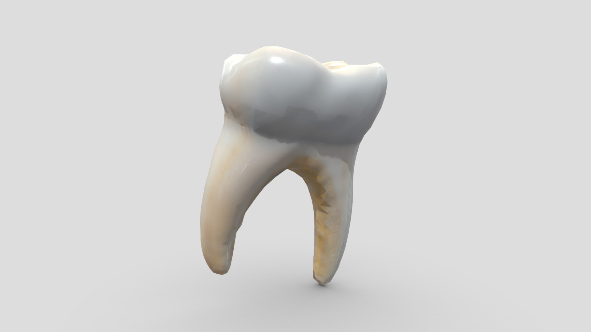 Human Tooth 3D model https://p.turbosquid.com/ts-thumb/h2/YL6w7H/6e/human_tooth6/png/1721320076/1920x1080/fit_q87/c9951eae58f2de42a5951944e8559d682b3fe767/human_tooth6.jpg