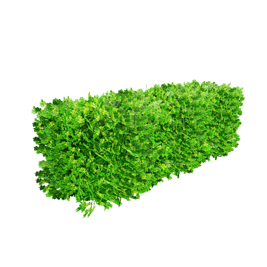 3D model Suffruticosa Boxwood Topiary 3d Collection https://p.turbosquid.com/ts-thumb/h2/jHQtK0/1r/suffruticosa_box04/jpg/1704787854/1920x1080/fit_q87/c0bf4139dda347b5ea7109b017eeca90a349f895/suffruticosa_box04.jpg