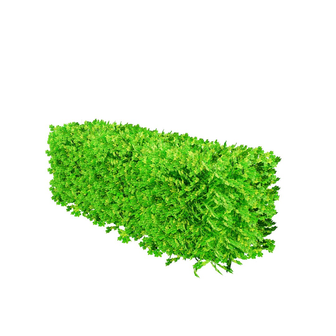 3D model Suffruticosa Boxwood Topiary 3d Collection https://p.turbosquid.com/ts-thumb/h2/jHQtK0/AE/suffruticosa_box/jpg/1704787853/1920x1080/fit_q87/8a910644a3a63f828fff7013c28ad8465b692a7a/suffruticosa_box.jpg
