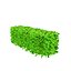 Suffruticosa Boxwood Topiary 3d Collection