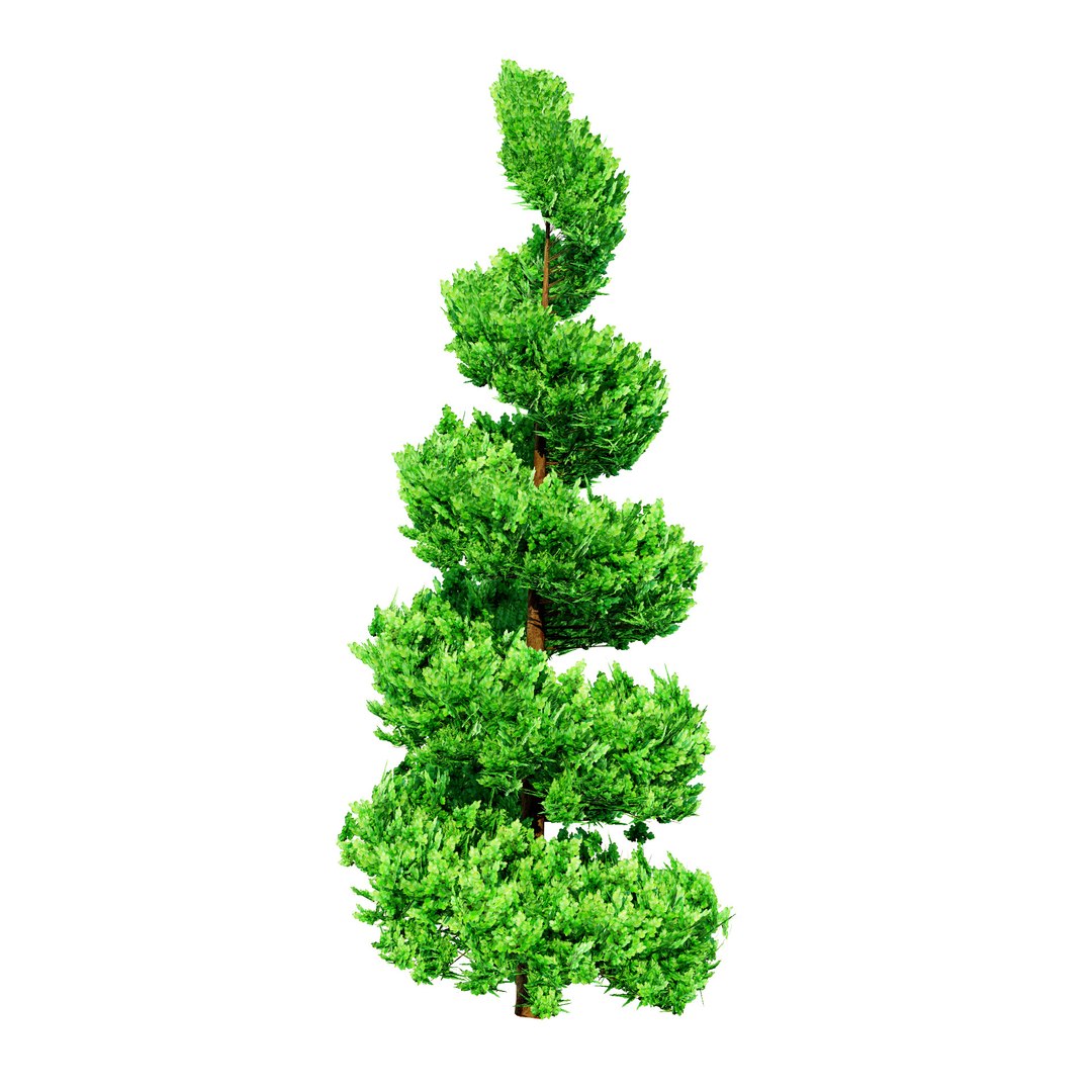 3D model Suffruticosa Boxwood Topiary 3d Collection https://p.turbosquid.com/ts-thumb/h2/jHQtK0/AL/suffruticosa_spiral/jpg/1704787857/1920x1080/fit_q87/0b97c7800ce11f1fd73cc28c41ebcb478fc90198/suffruticosa_spiral.jpg