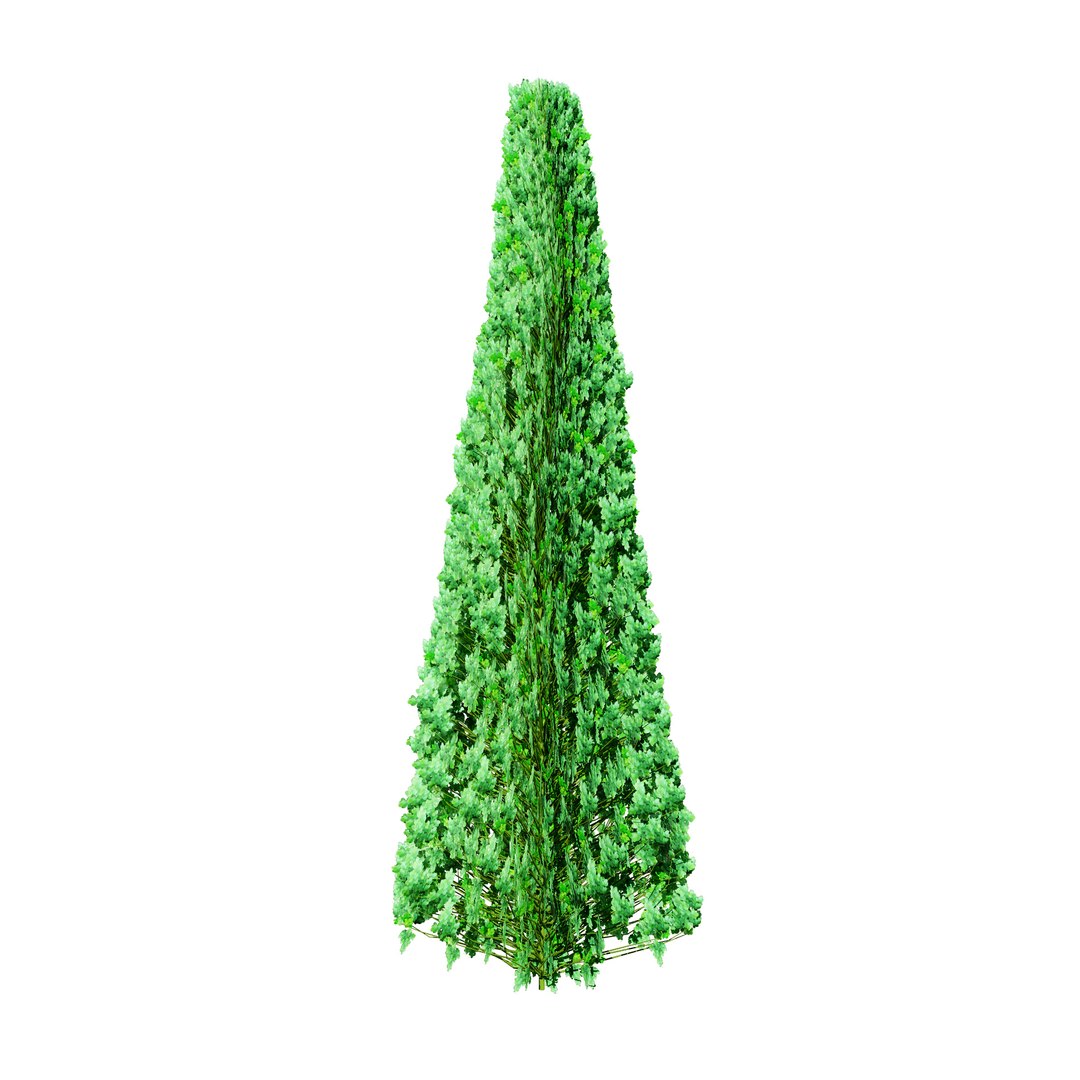 3D model Suffruticosa Boxwood Topiary 3d Collection https://p.turbosquid.com/ts-thumb/h2/jHQtK0/Cy/suffruticosa_pyramid04/jpg/1704787856/1920x1080/fit_q87/17e605164b8158b68699124dfc736de12f9acf34/suffruticosa_pyramid04.jpg