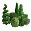 Suffruticosa Boxwood Topiary 3d Collection