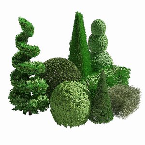 Suffruticosa Boxwood Topiary 3d Collection