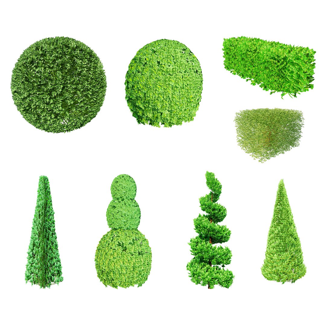 3D model Suffruticosa Boxwood Topiary 3d Collection https://p.turbosquid.com/ts-thumb/h2/jHQtK0/zk/suffruticosa_boxwoods/jpg/1704787855/1920x1080/fit_q87/18de3b61d2f4c3f8ef70cafc3a89db7d0478365c/suffruticosa_boxwoods.jpg