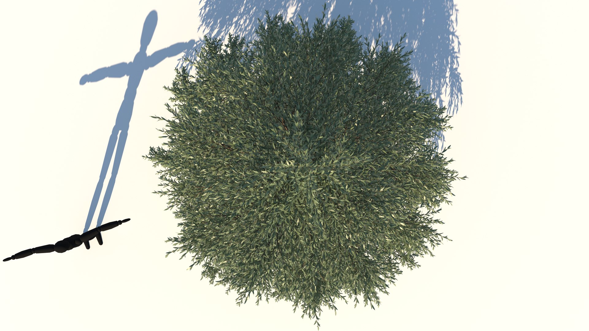 abies fraseri tree plant model https://p.turbosquid.com/ts-thumb/h2/n8JCPD/Oeg1WeQg/5/jpg/1609922994/1920x1080/fit_q87/6c122311aa60cddd586c73fdee95e1ace96c8769/5.jpg