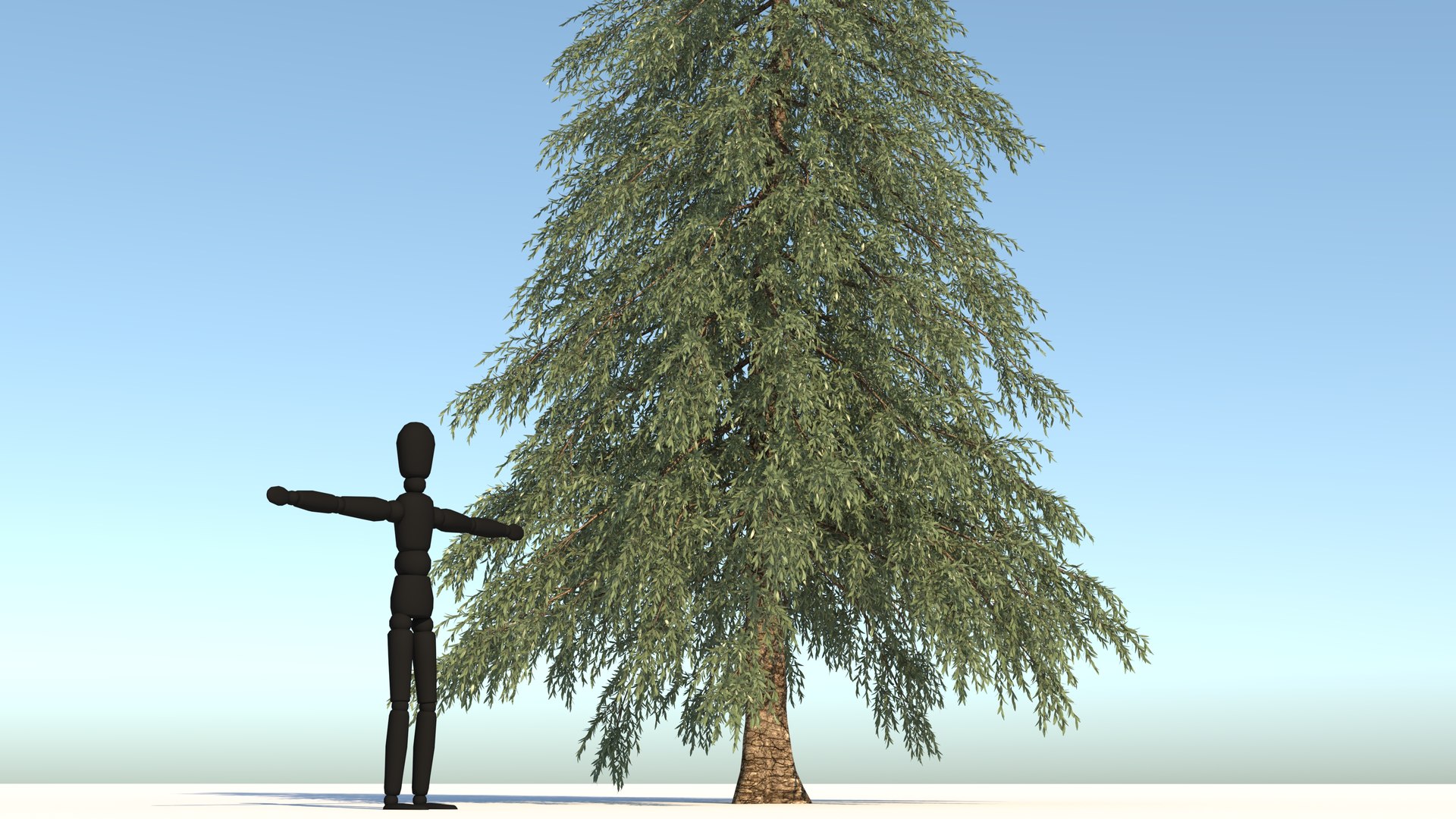 abies fraseri tree plant model https://p.turbosquid.com/ts-thumb/h2/n8JCPD/PQg7235L/4/jpg/1609922994/1920x1080/fit_q87/ceee3259e61bea0bd8ae088b6b63ff2b7a110816/4.jpg
