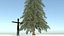 Abies Fraseri Tree