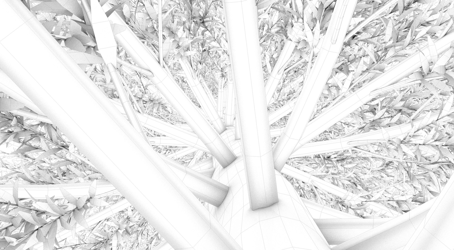 abies fraseri tree plant model https://p.turbosquid.com/ts-thumb/h2/n8JCPD/Zc8zgTMQ/render001_0004/png/1609924232/1920x1080/fit_q87/55ffe2c9889217dfa3624a0d7ead1d38cee1c62b/render001_0004.jpg