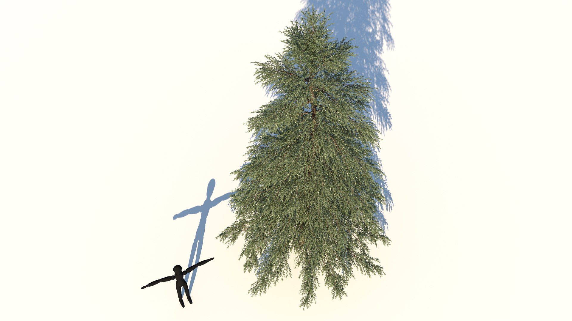 abies fraseri tree plant model https://p.turbosquid.com/ts-thumb/h2/n8JCPD/ZeP7O1Fo/3/jpg/1609922994/1920x1080/fit_q87/78fc972c93b5d3563456f14aa85b40421d37103a/3.jpg