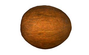 coconut fruits 3D model