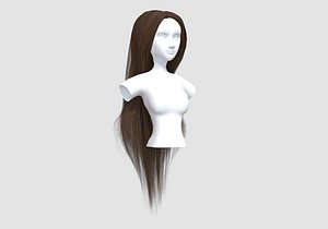 3D Straight Long Hairstyle