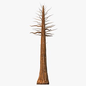 3D Giant Sequoia Trunk model