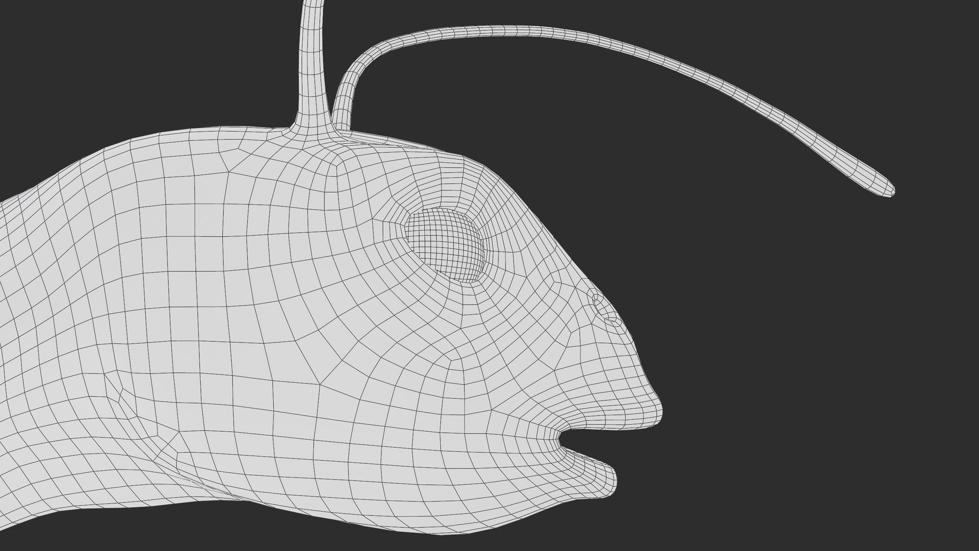 3D Coffee Worm Alien MIB T-Posed PBR https://p.turbosquid.com/ts-thumb/h2/ucqw5m/KS/screenshot082/png/1772809409/1920x1080/fit_q87/05422abcfdb6c1ffca8a5dcfc6272048b9477839/screenshot082.jpg