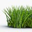 Grass 2