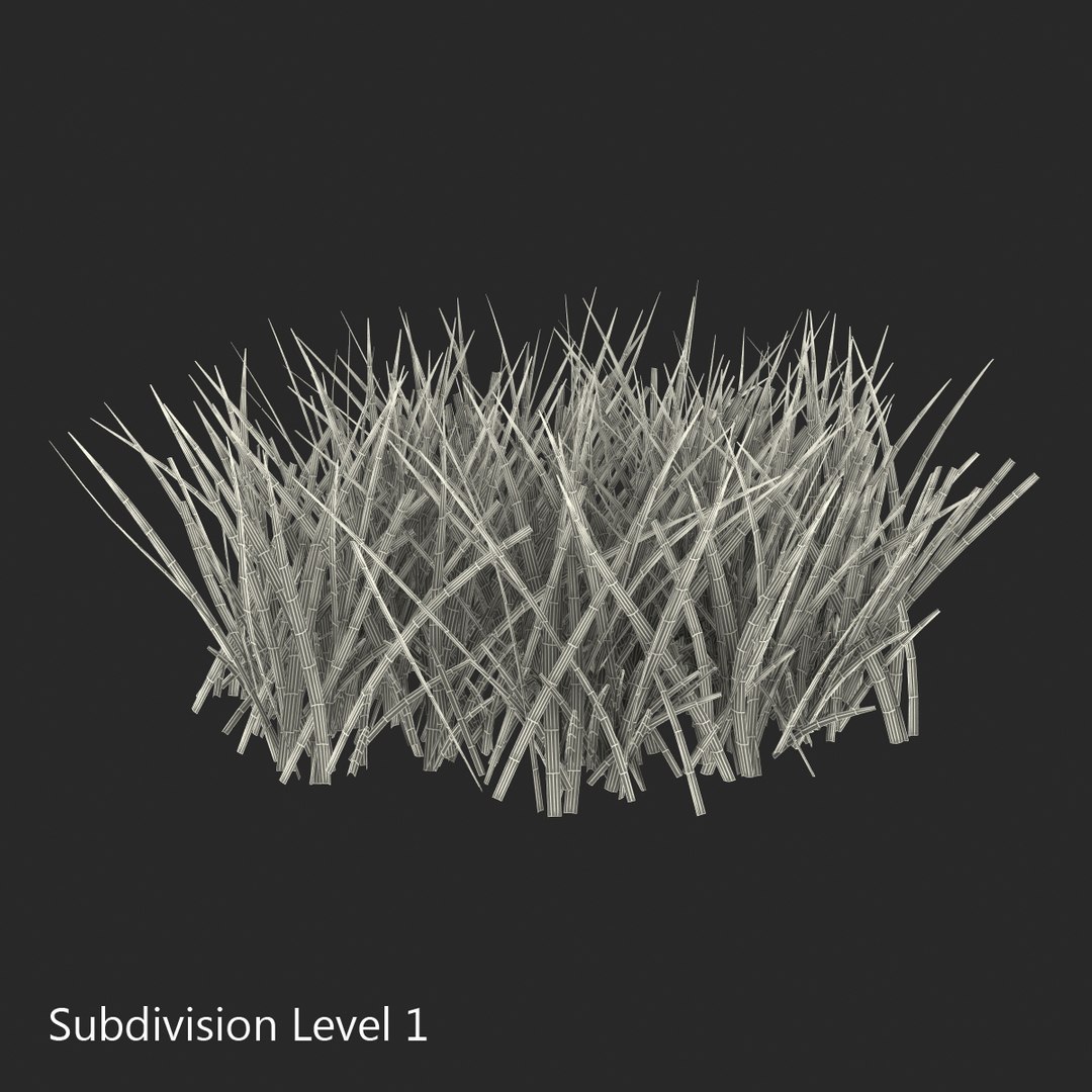 3d grass 2 https://p.turbosquid.com/ts-thumb/h3/3LUd0T/727jb3iI/grass3dmodel10/jpg/1447152499/1920x1080/fit_q87/9809d83cbea70dce87506a3cde9c8777464cb040/grass3dmodel10.jpg