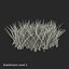 Grass 2