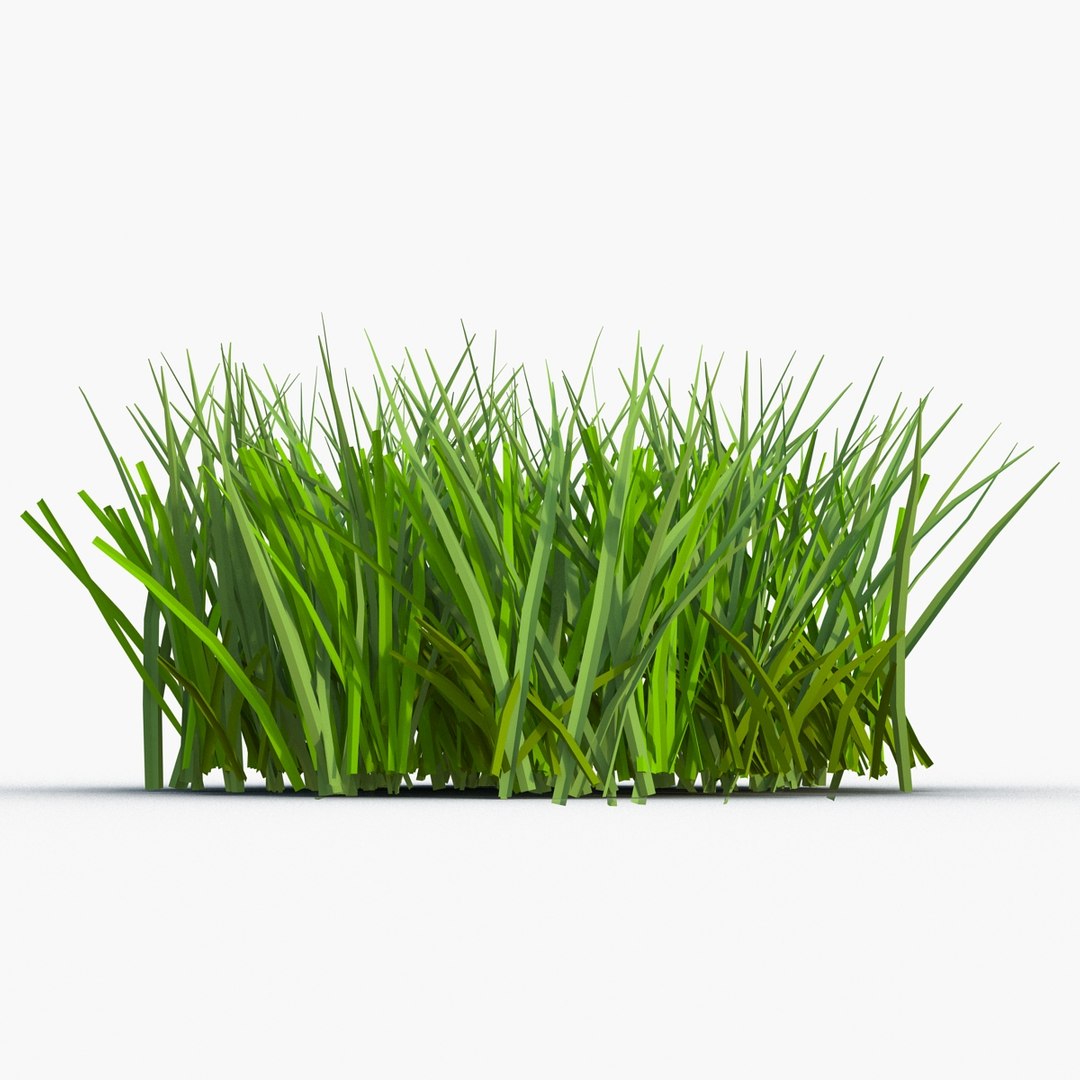 3d grass 2 https://p.turbosquid.com/ts-thumb/h3/3LUd0T/7LSYYcyY/grass3dmodel05/jpg/1447152499/1920x1080/fit_q87/bd8eabf33f42731a5258eee48aaa01876ab4acd3/grass3dmodel05.jpg
